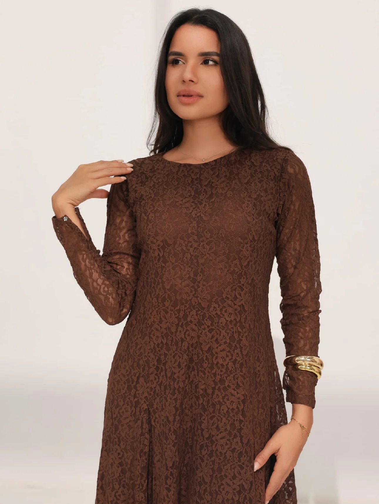 Evaleen Brown Panel Net Dress - Image 2
