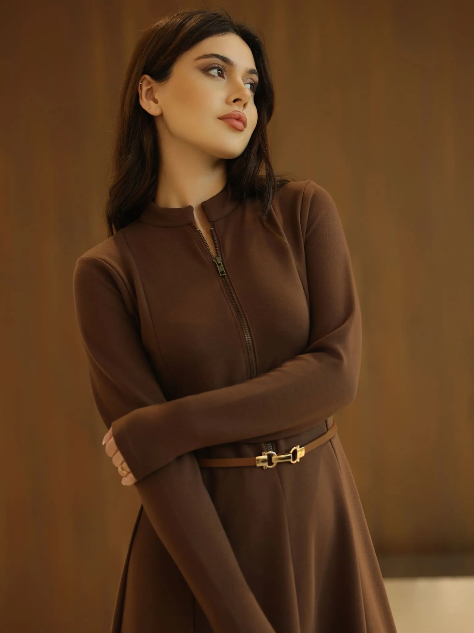 Haelin Panel Brown Dress - Image 6