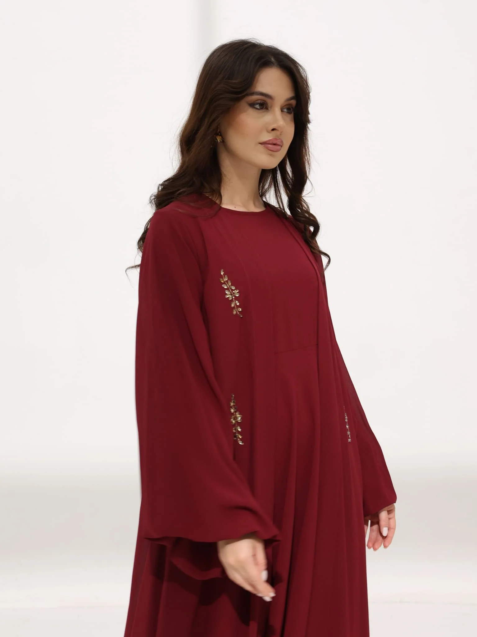 Mulberry Maroon Dress And Embellished Upper - Image 20